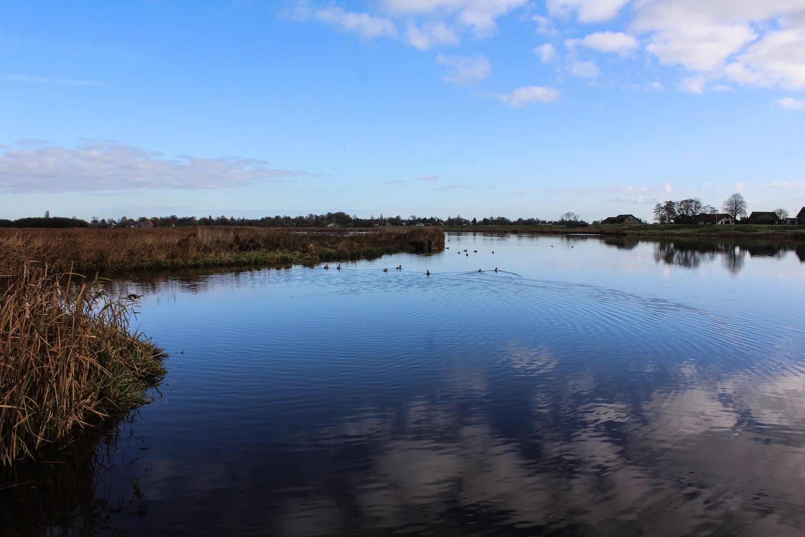 An image depicting the trail Vleuten, Vinkeveensche Plassen and Nieuwkoopsche Plassen Loop and its surrounding area.