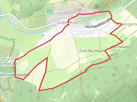 RuT3 Loop