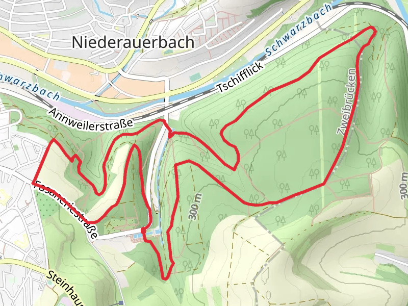 Saar Rhein Wanderweg and Pfaezerwald Rot Weisser Balken Loop
