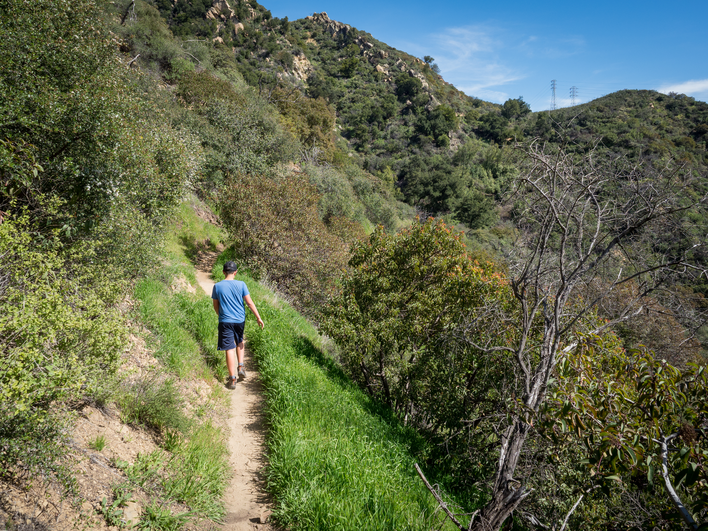 An image depicting the trail Jesusita Trail and its surrounding area.