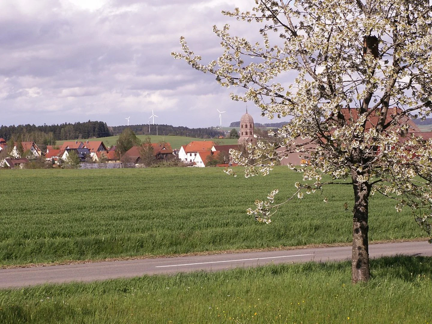An image depicting the trail Sabershausen Loop and its surrounding area.