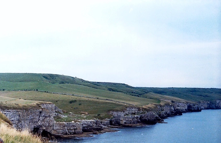 Wareham to Shell Bay Walk