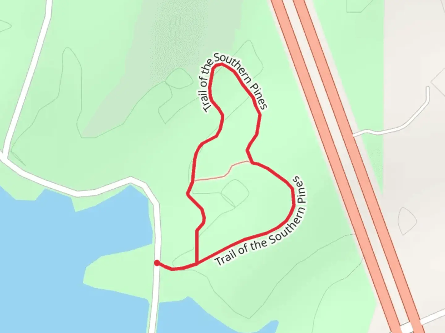 An image depicting the trail Trail of the Southern Pines Loop and its surrounding area.
