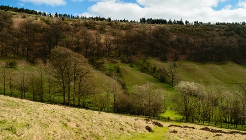 Hole of Horcum and Horcum Wood Loop