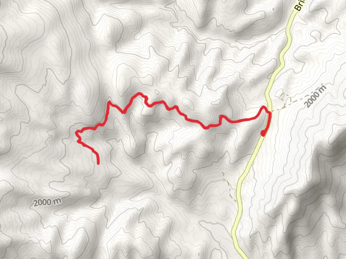 An image depicting the trail Fairy Creek and its surrounding area.