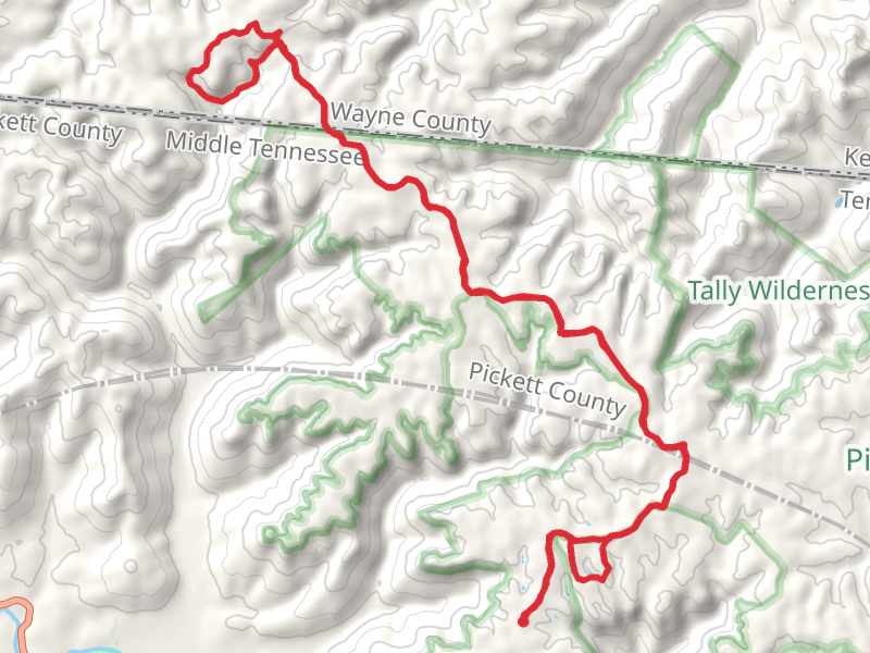 Mineral Pond and Fallen Water Creek Loop