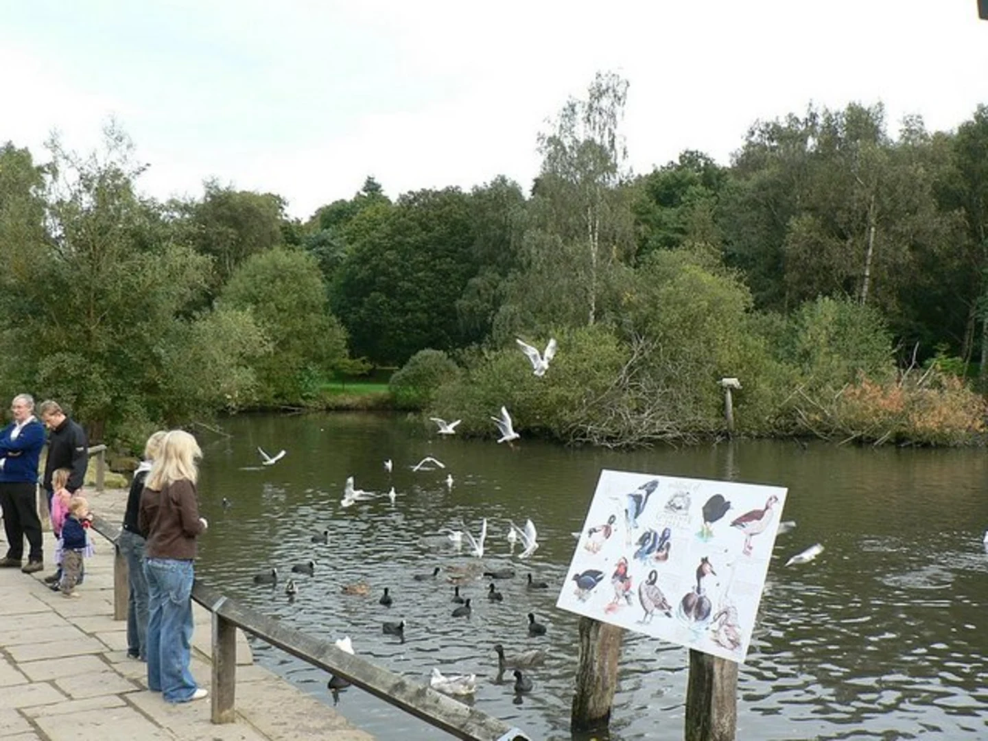 An image depicting the trail Golden Acre Park - Swan Lane - East Breary - Bramhope and Fish Pond Plantation and its surrounding area.