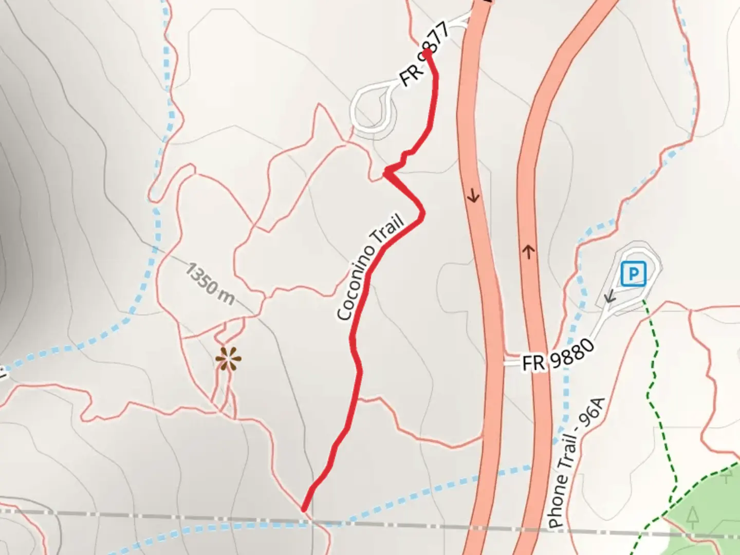 An image depicting the trail Coconino Trail and its surrounding area.