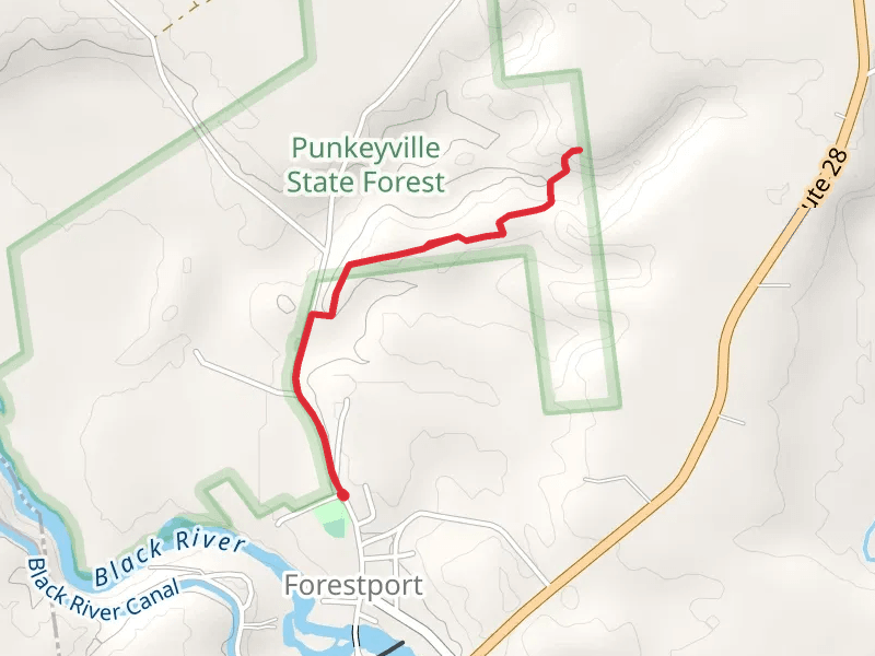 River Road Trail - Forestport
