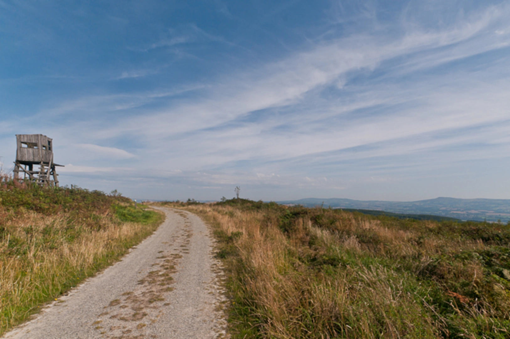 An image depicting the trail High Vinnalls Loop and its surrounding area.