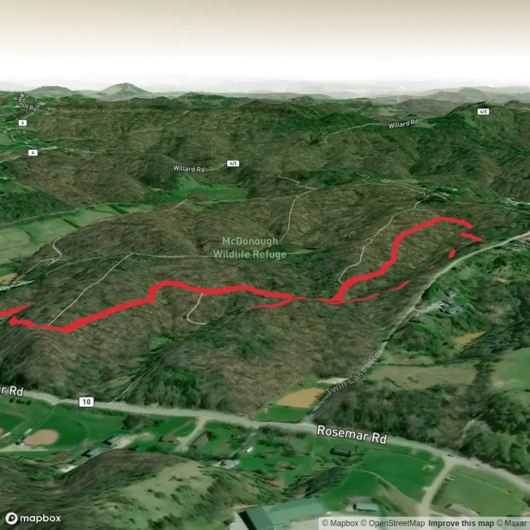 An image depicting the trail Zig Zag Trail and its surrounding area.