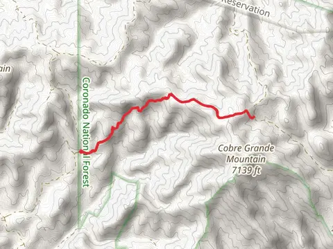 Cobre Grande Trail
