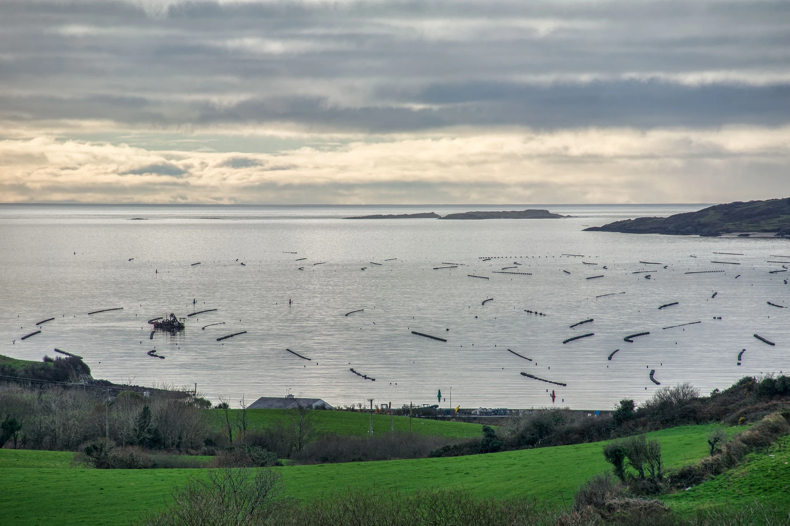 An image depicting the trail Fastnet Trails - Deerinnard Loop and its surrounding area.