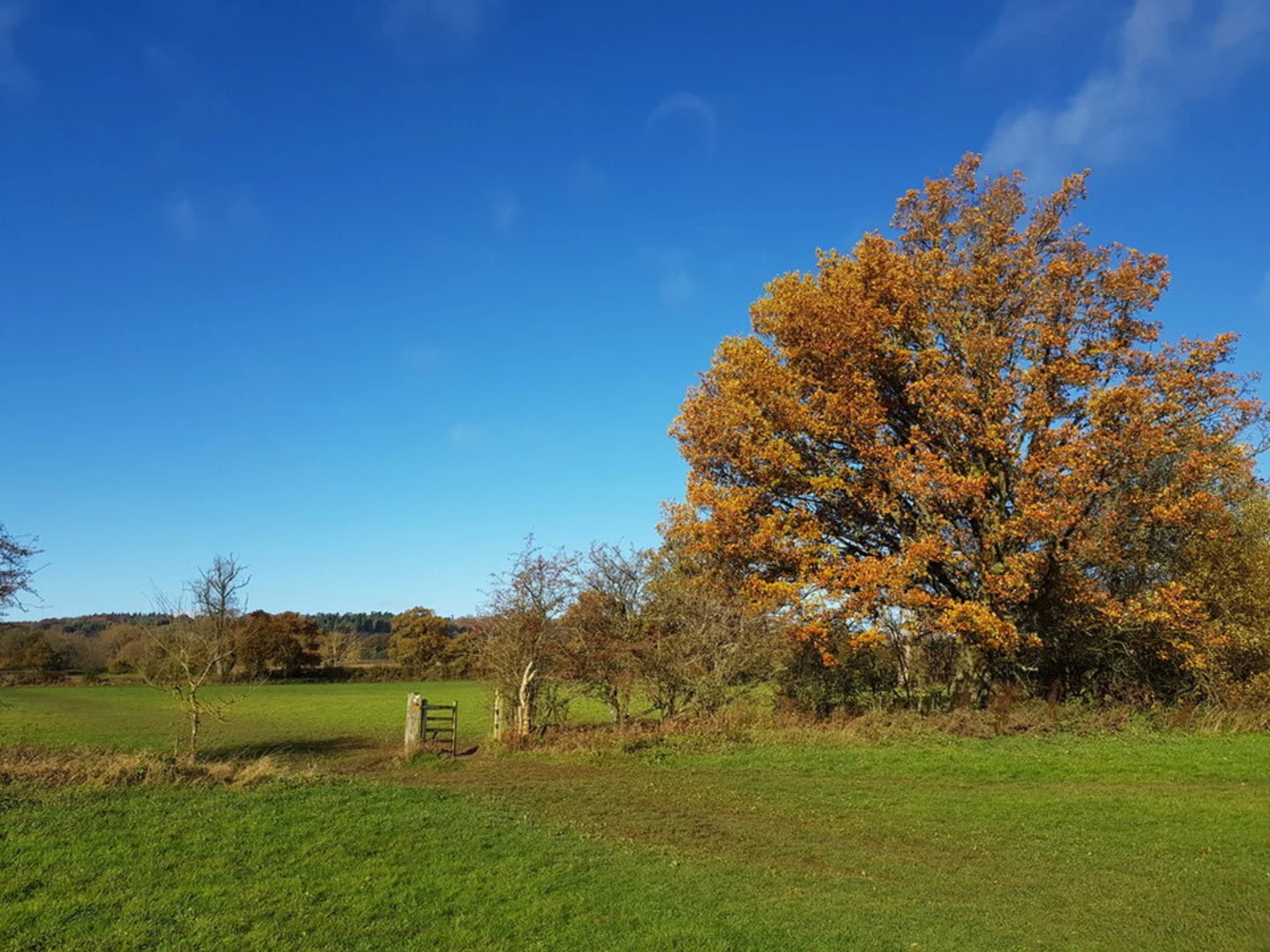 An image depicting the trail Moreton-in-Marsh and Batsford and its surrounding area.