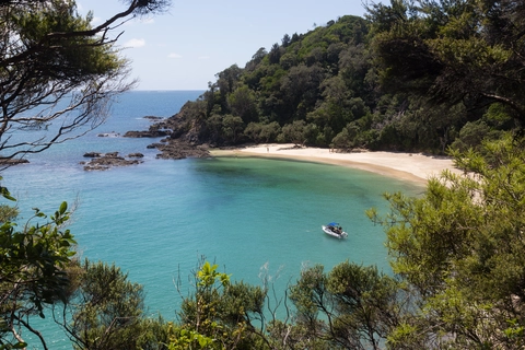 Whale Bay Loop Track