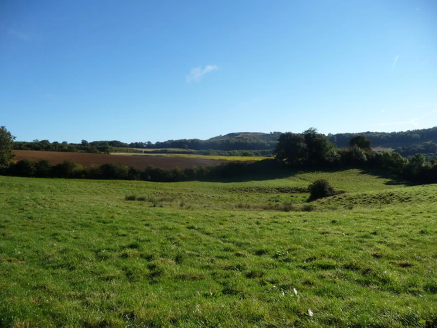An image depicting the trail Painswick Beacon and its surrounding area.