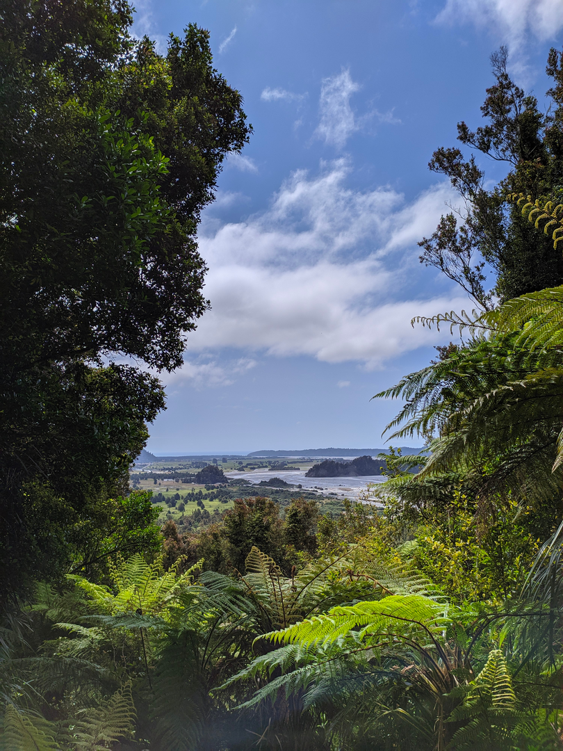 An image depicting the trail Canavans Knob Walk and its surrounding area.