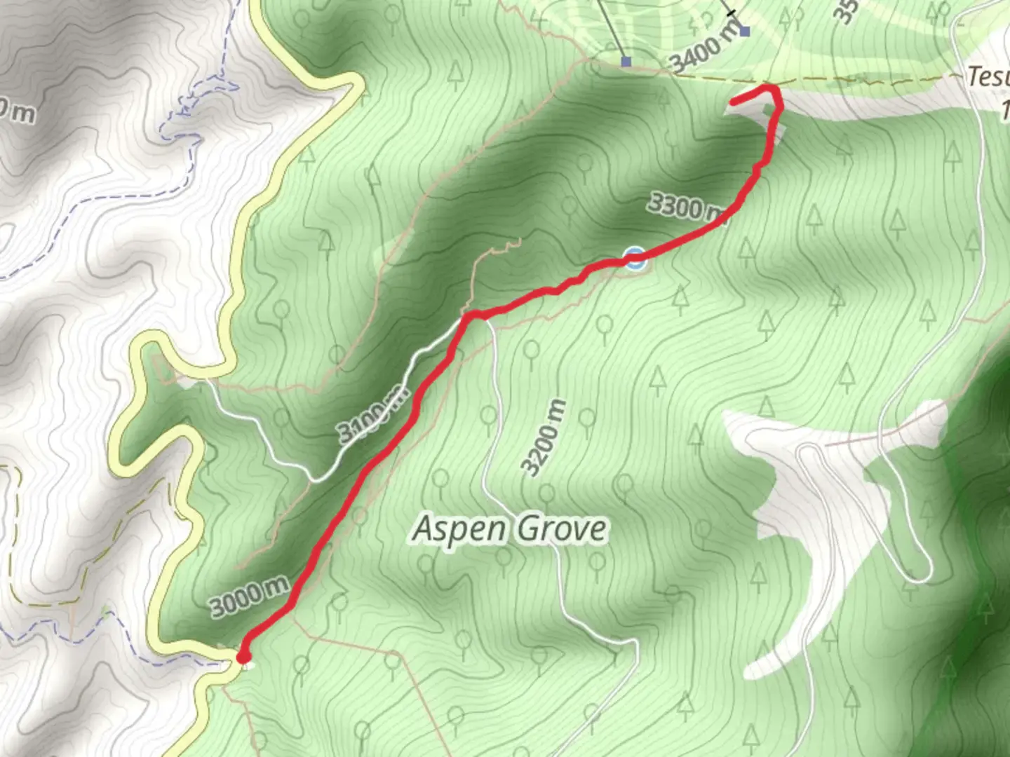 An image depicting the trail Tesuque Creek Trail and its surrounding area.