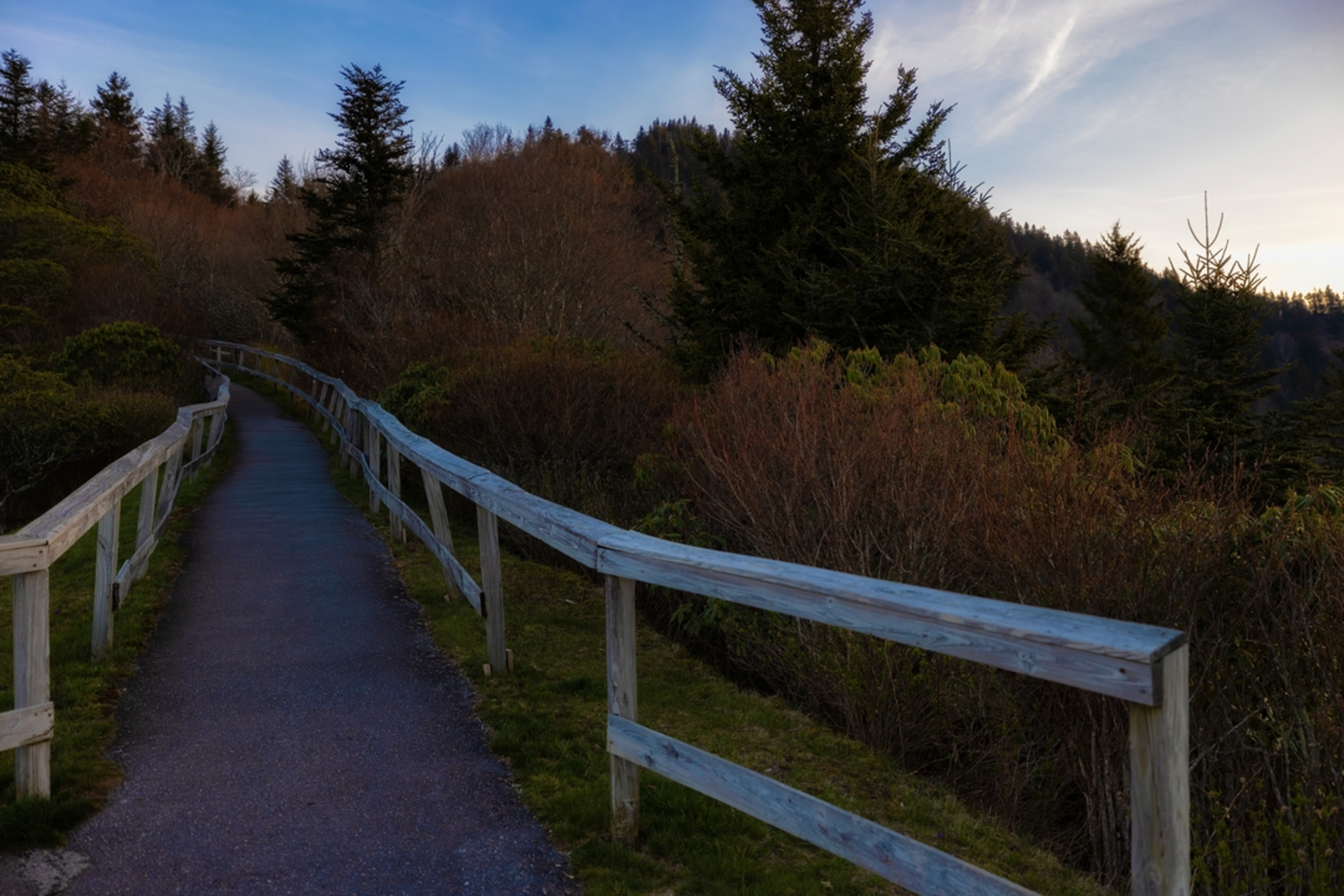 An image depicting the trail Waterrock Knob Trail and its surrounding area.