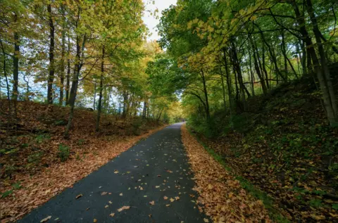 Montour Walk