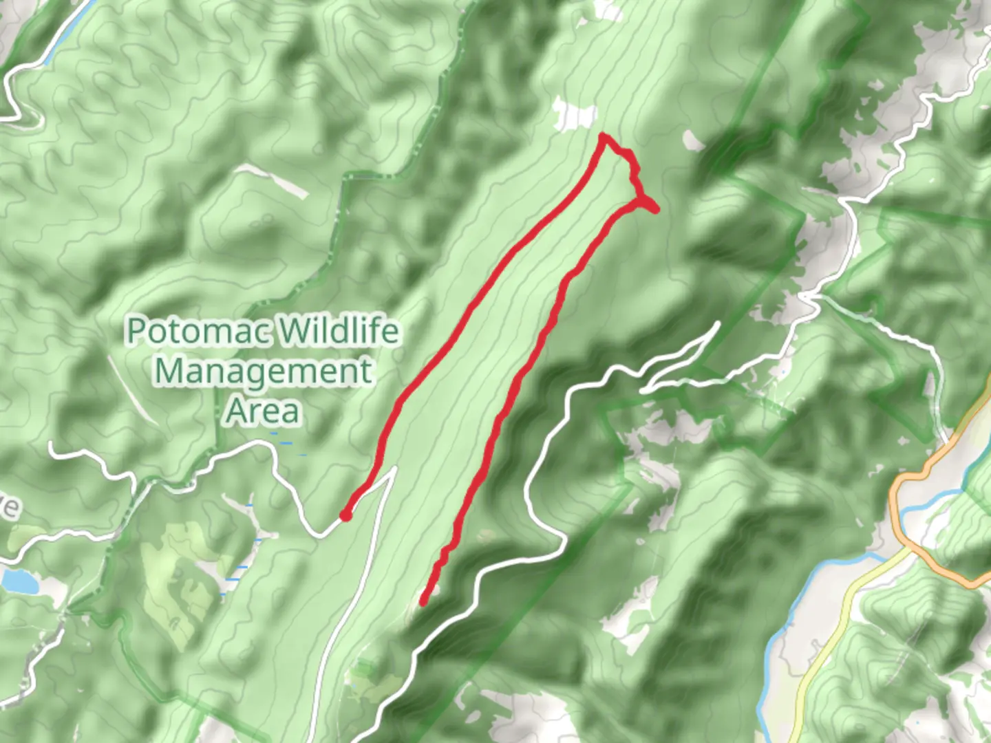 An image depicting the trail Lumberjack Trail and Huckleberry Trail and its surrounding area.