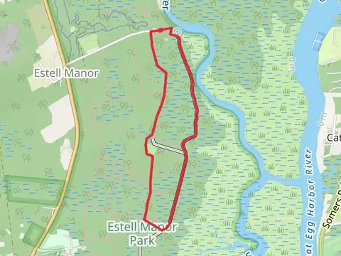 Swamp Loop Trail