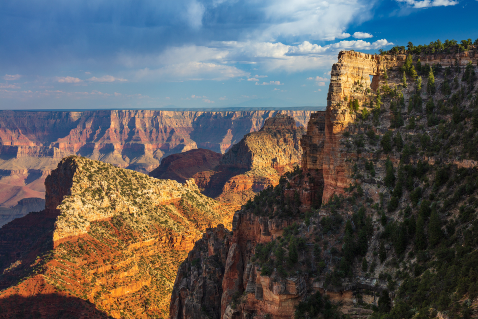 An image depicting the trail Cliff Springs Trail and its surrounding area.