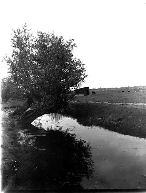 Ruigekade, Boerenlandpad - Achthoven and Jaagpad Loop