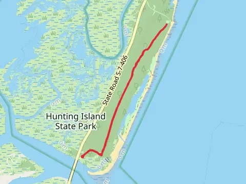 Hunting Island Nature