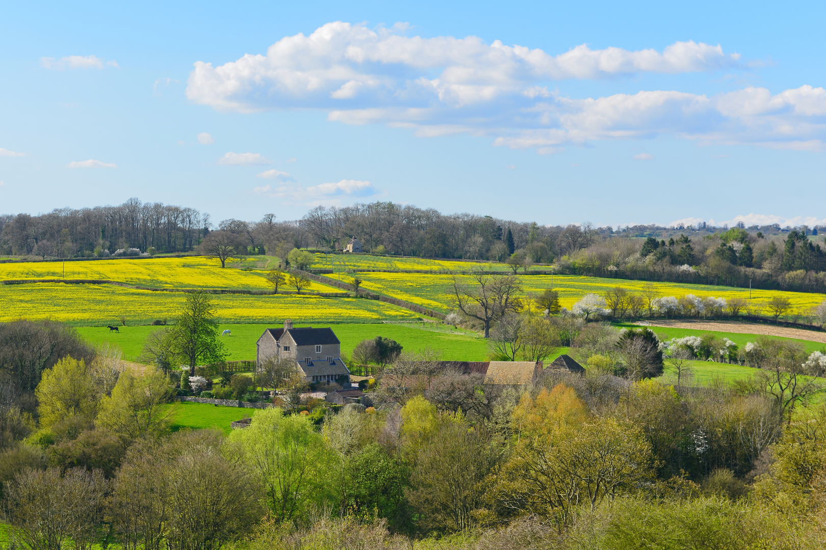 An image depicting the trail Frome Valley Walkway and its surrounding area.