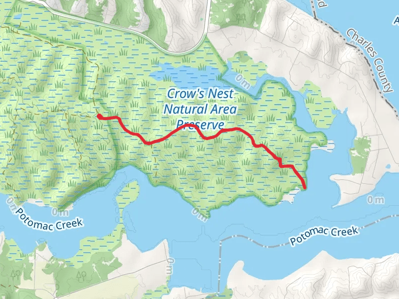Crow's Nest Point