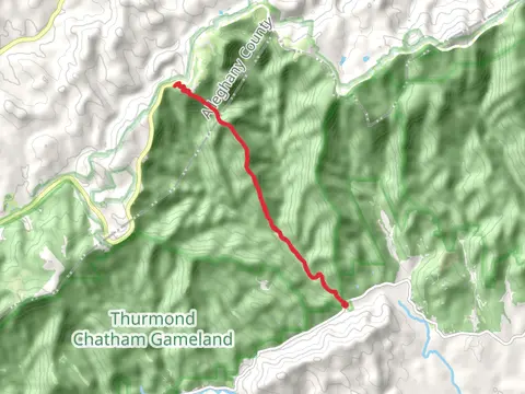 Bluff Mountain and Brooks Knob via Bluff Ridge Primative Trail