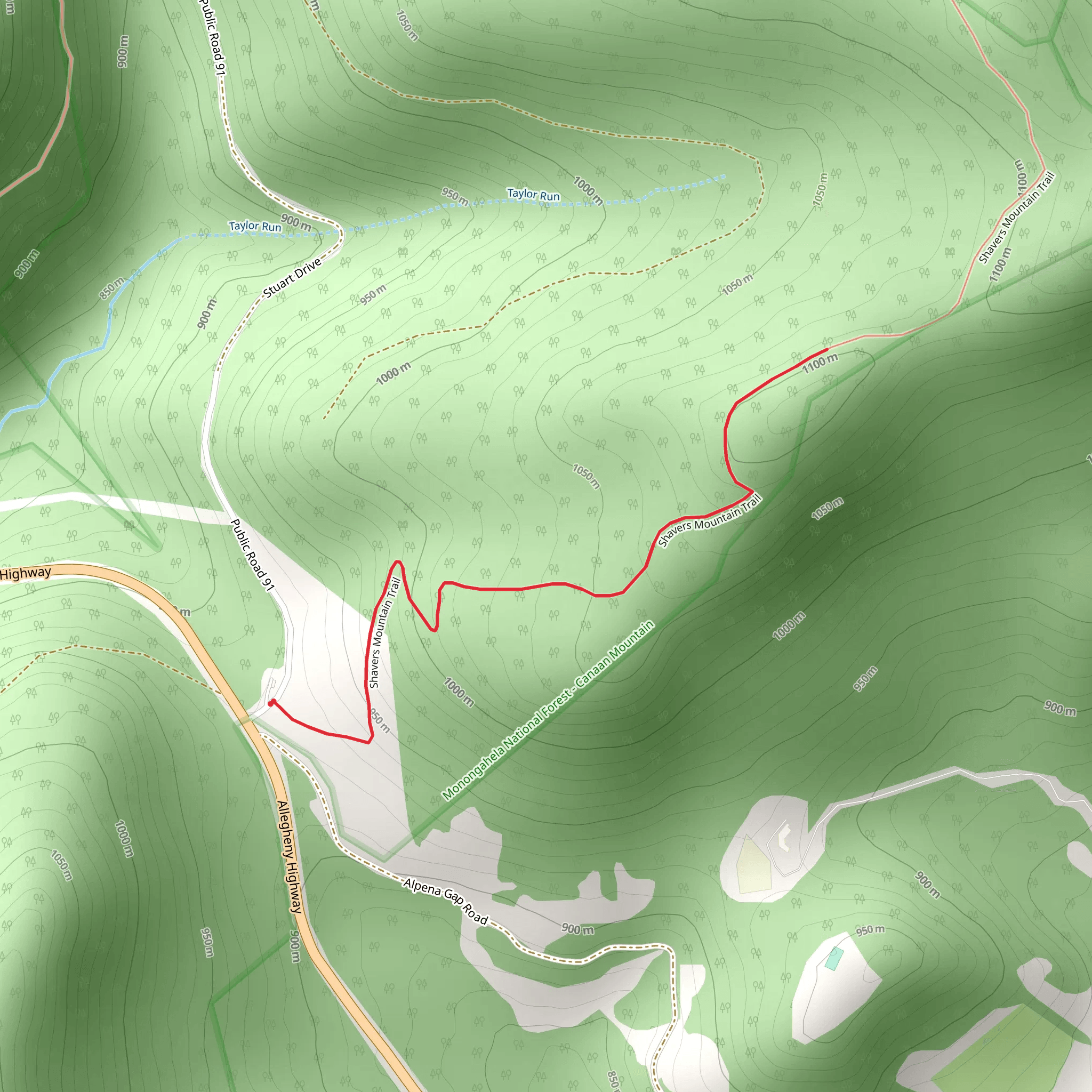 Shavers Mountain Trail Out and Back mobile static map