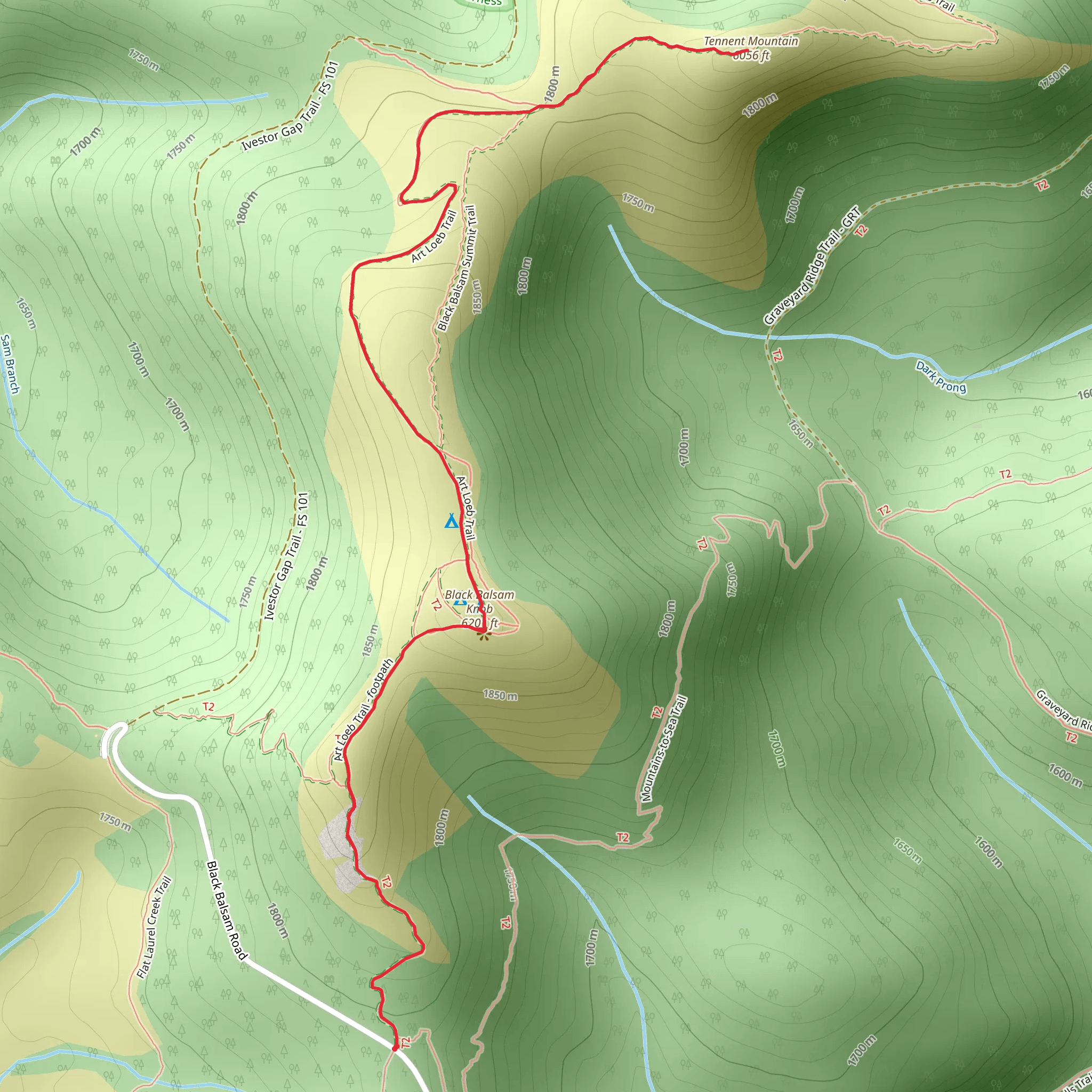 Tennent Mountain via Art Loeb Trail mobile static map