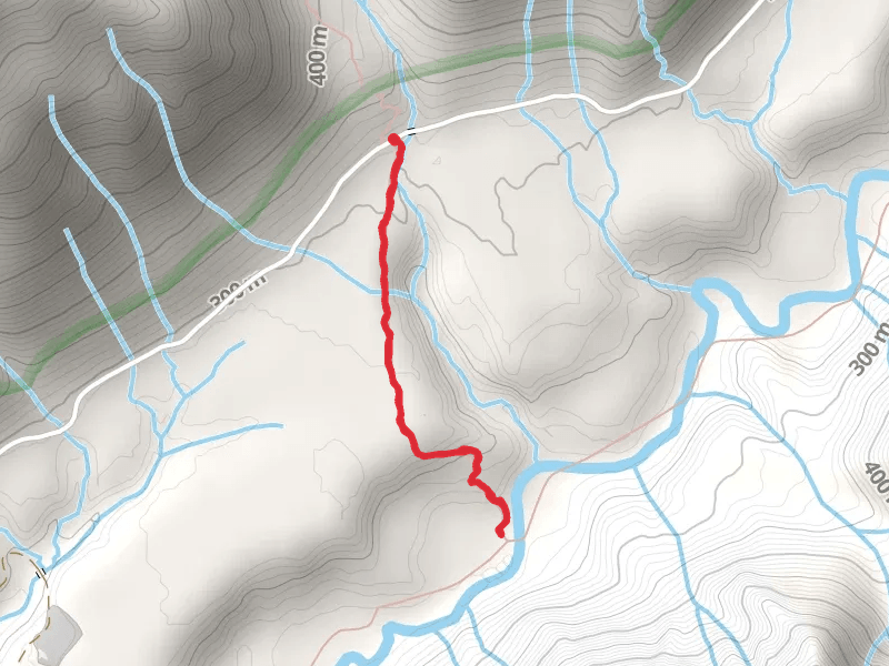 Lower Pete's Creek Trail