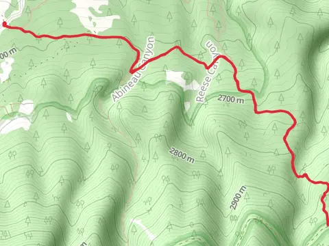 Bear Jaw Trail