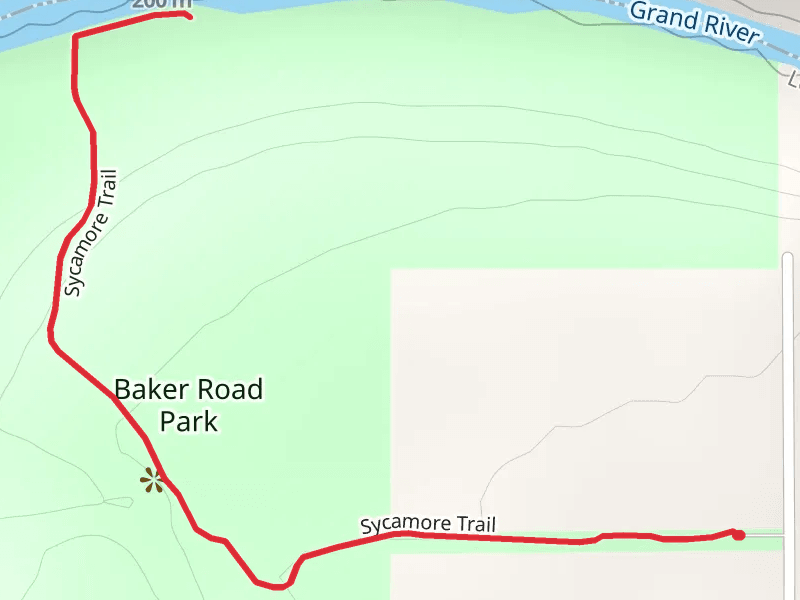 Sycamore Trail