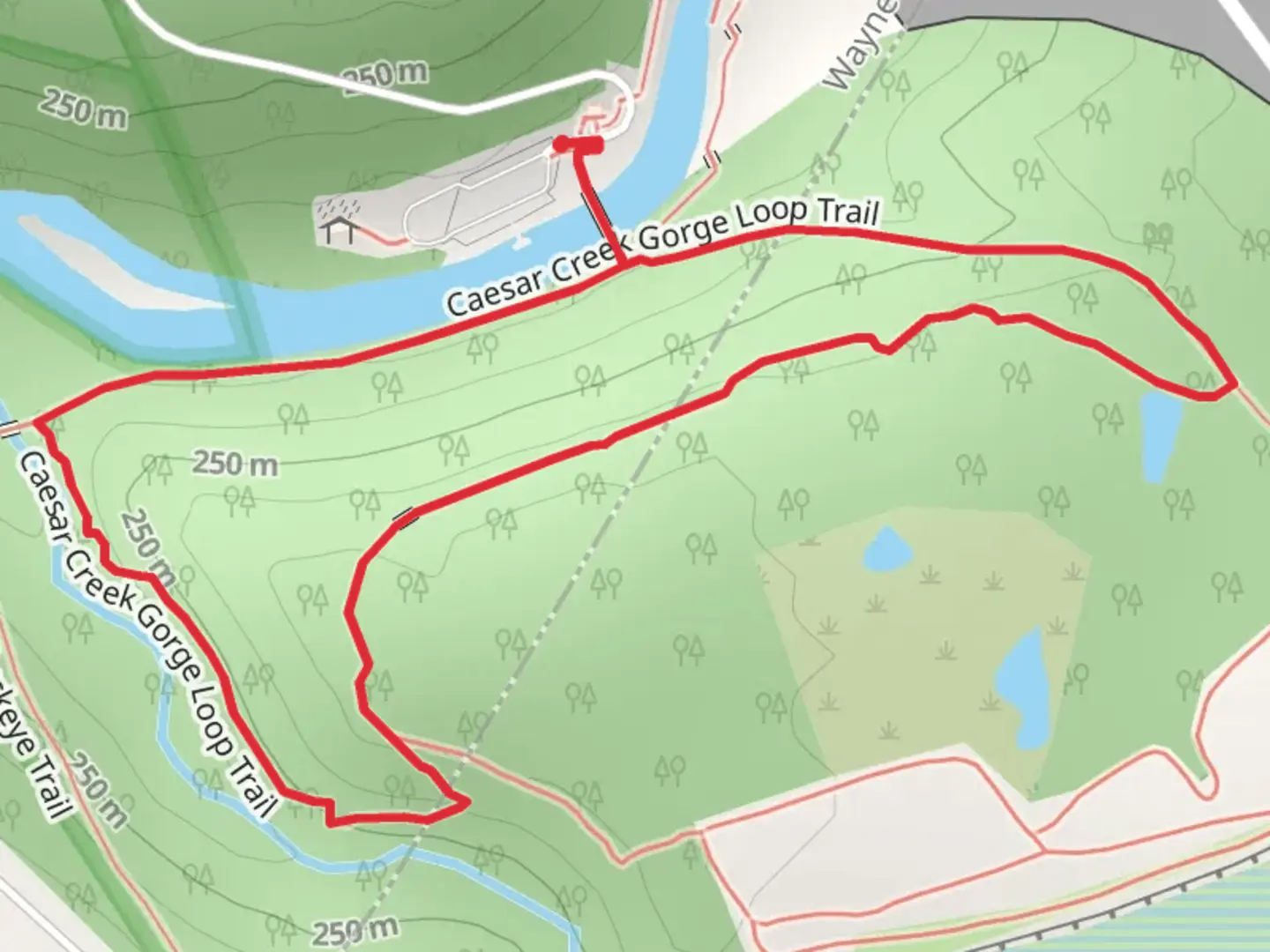 An image depicting the trail Caesar Creek Gorge Loop Trail and its surrounding area.