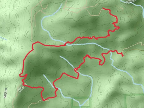 Sullivans Pass Trail from Brown Mountain Trailhead