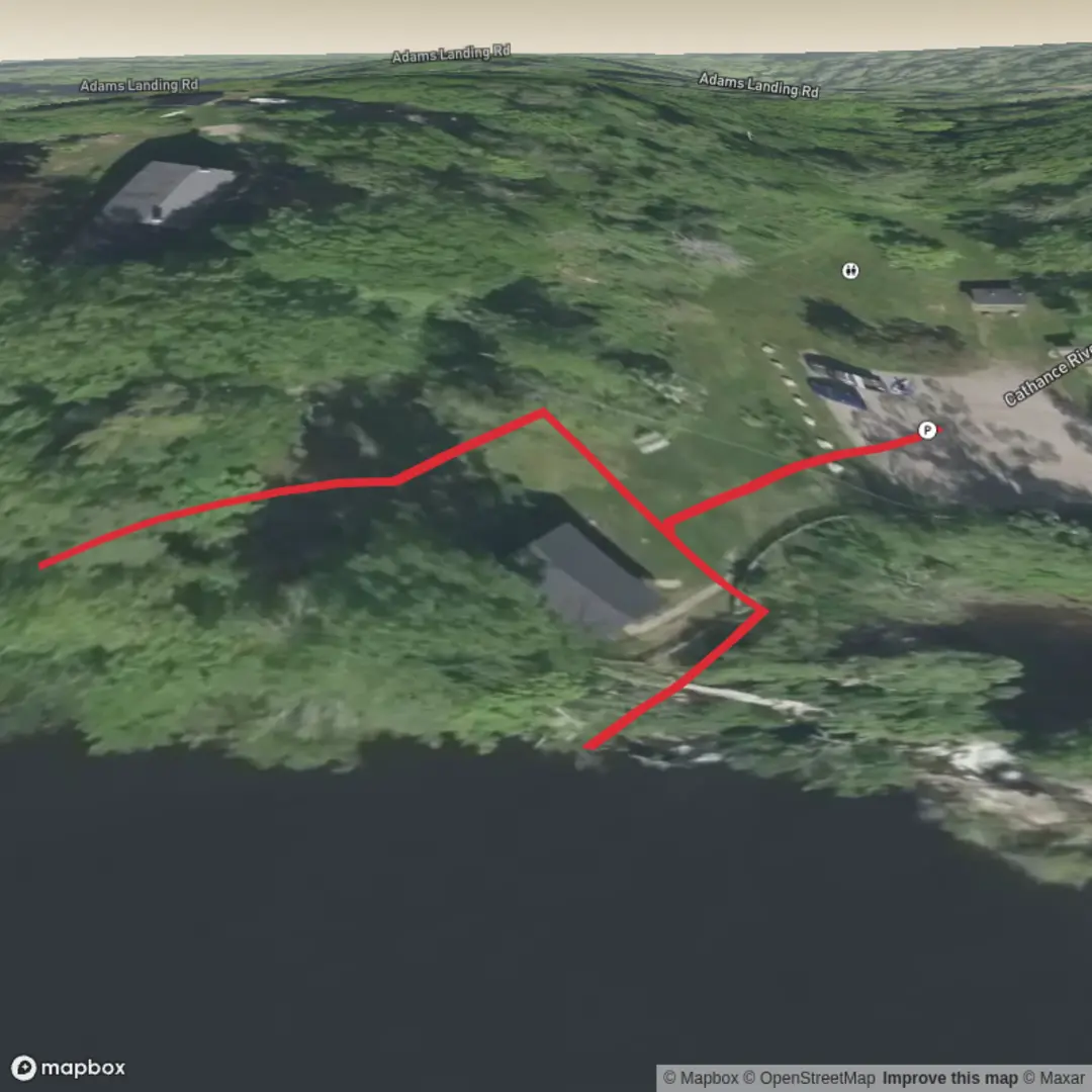 An image depicting the trail Cathance River Falls and its surrounding area.