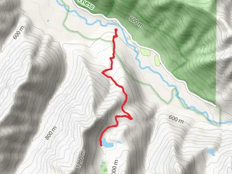 Mink Lake Trail - Short