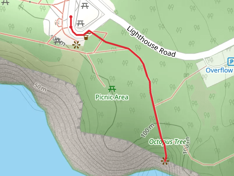 Lighthouse Road