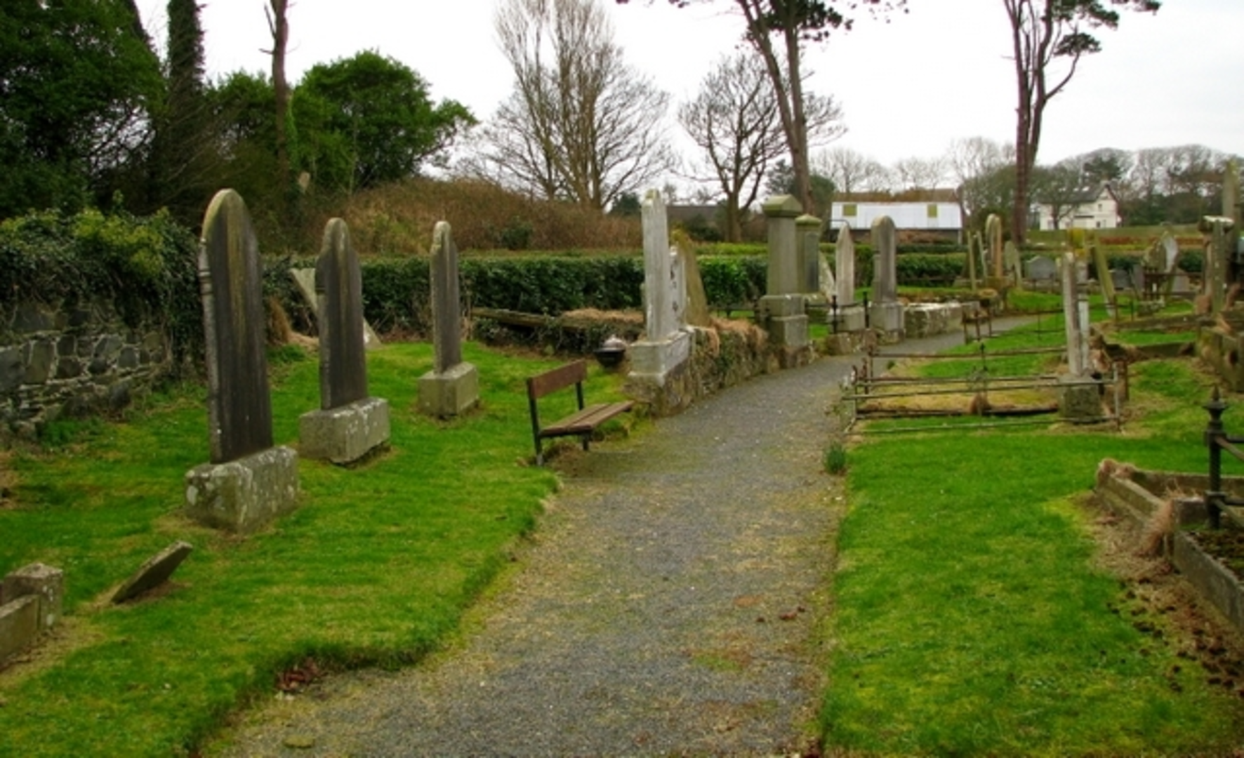 An image depicting the trail Ballywalter Walk and its surrounding area.