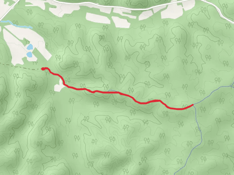 Telegraph Trail