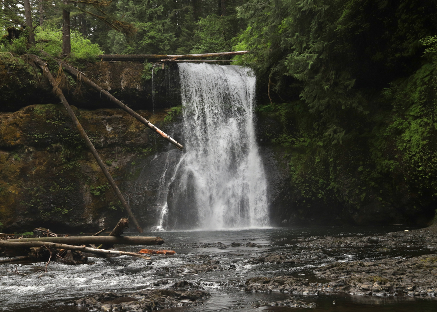 An image depicting the trail Silver Peak and Hobson Horn via Illinois River Trail and its surrounding area.