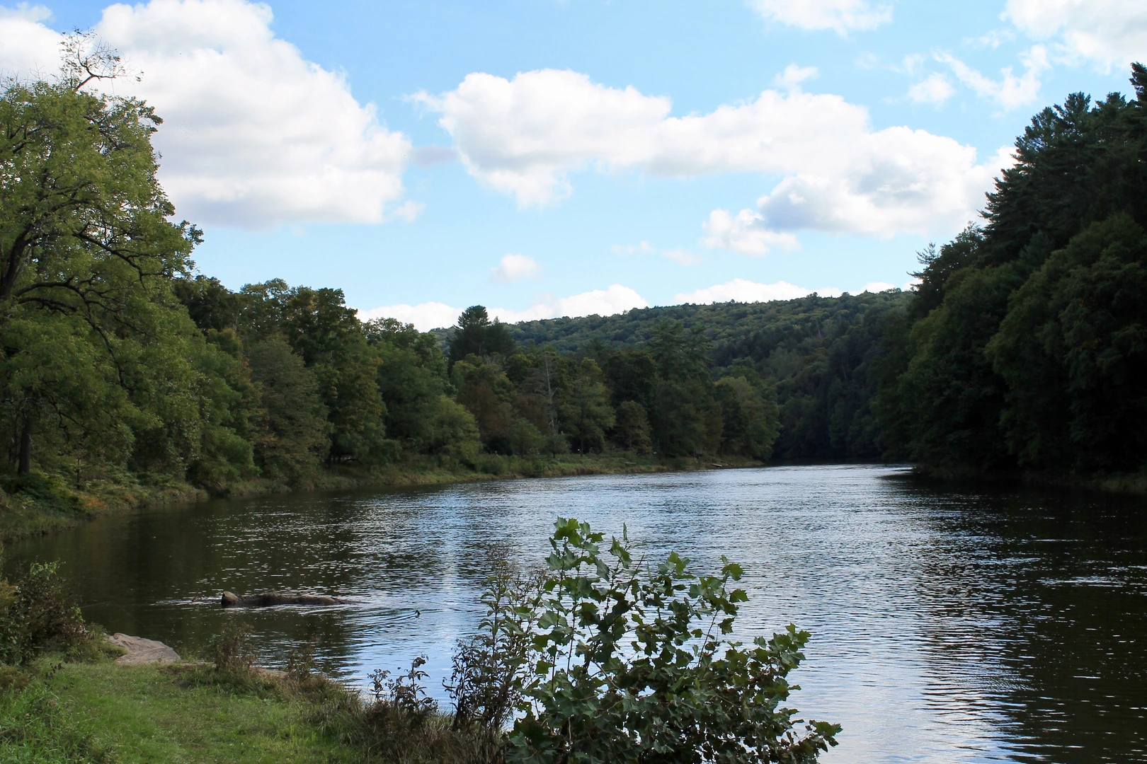 An image depicting the trail Clarion River from North Road and its surrounding area.