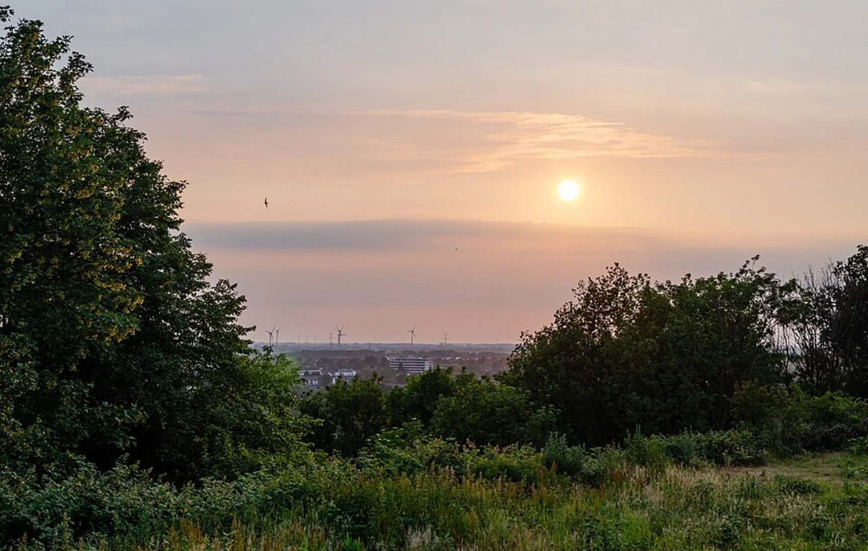 An image depicting the trail Verberger Kull via Kapuzinerweg and its surrounding area.