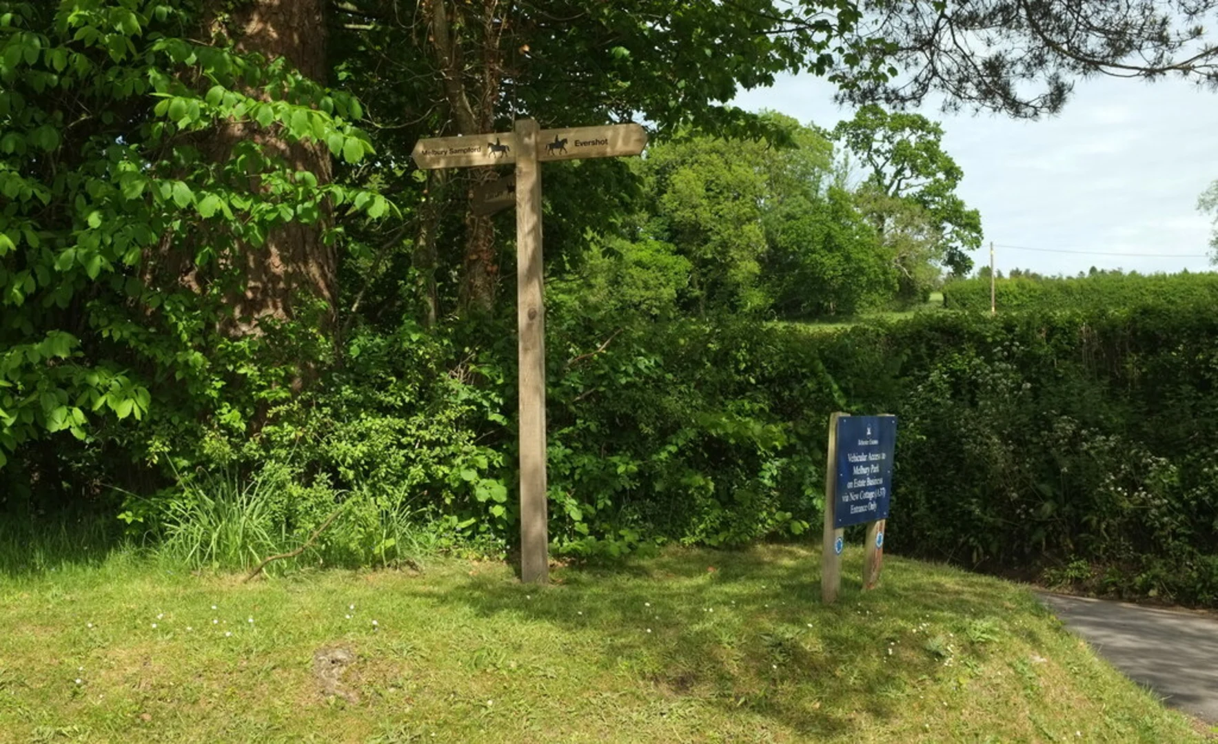 An image depicting the trail Banger's Moor and Town's End via Hardy Way and its surrounding area.