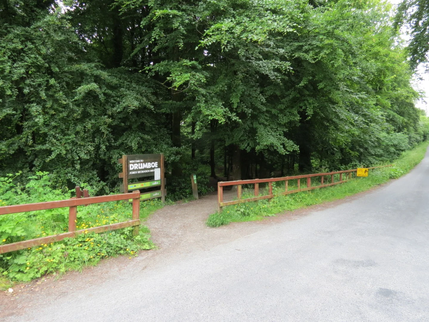An image depicting the trail Drumboe - Nature Trail and its surrounding area.
