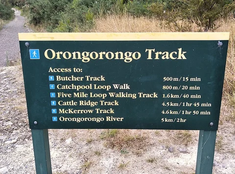Five Mile Loop